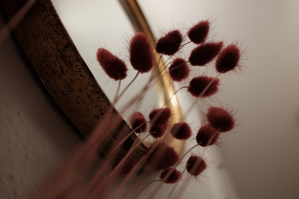 January 30, 2022 –&nbsp;Photoblog