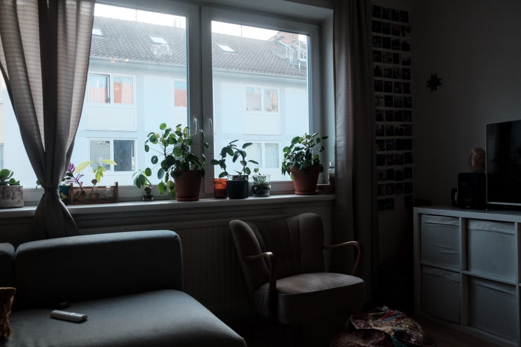 January 2, 2022 –&nbsp;Photoblog