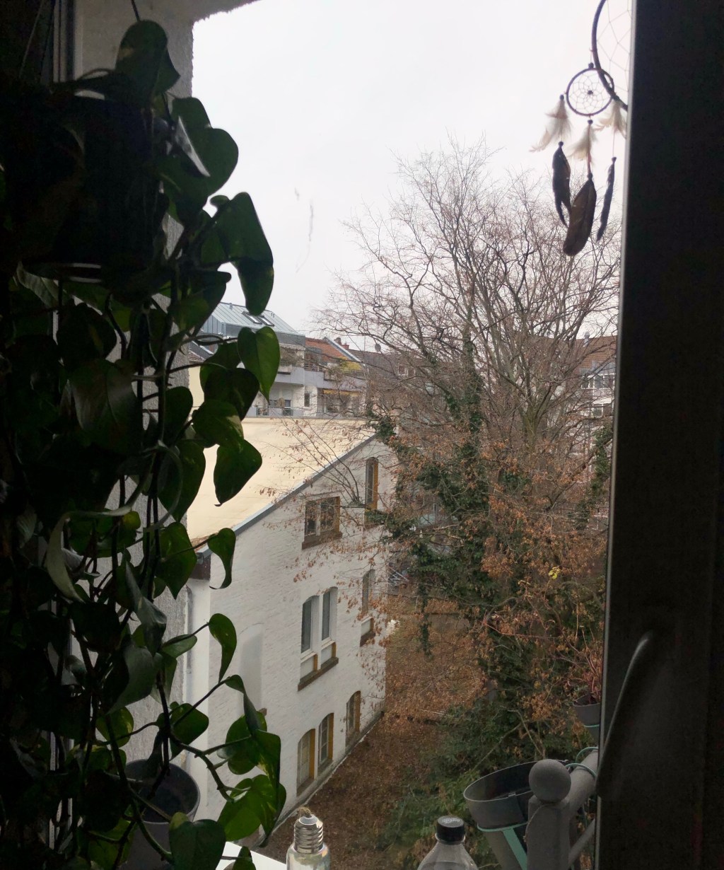 January 15, 2022 –&nbsp;Photoblog