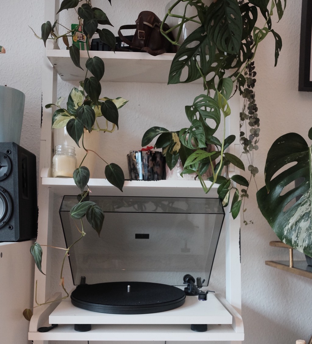 January 20, 2022 –&nbsp;Photoblog