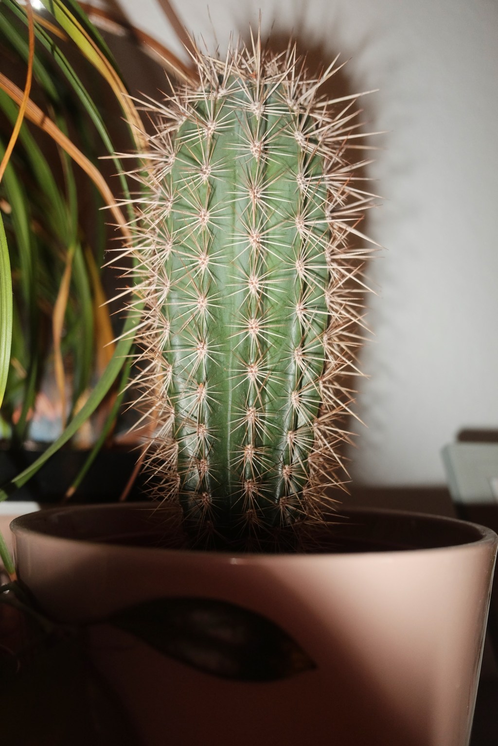 January 9, 2022 –&nbsp;Photoblog