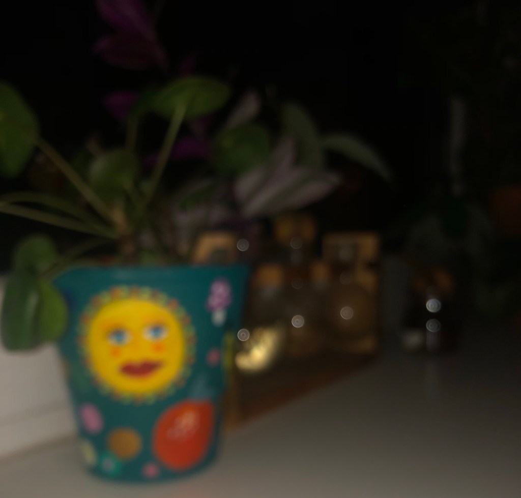 January 17, 2022 –&nbsp;Photoblog