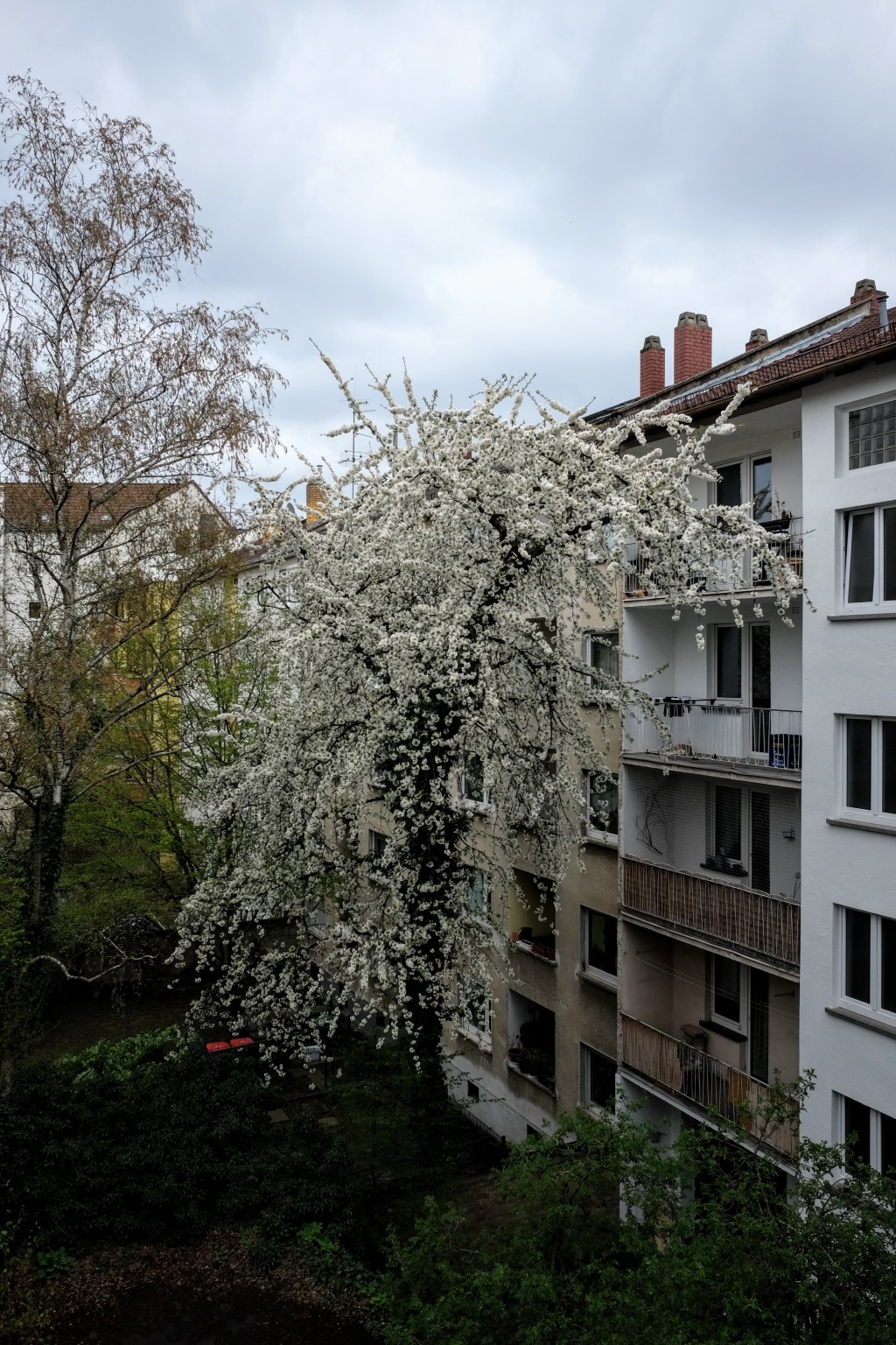 March 29, 2022 –&nbsp;Photoblog