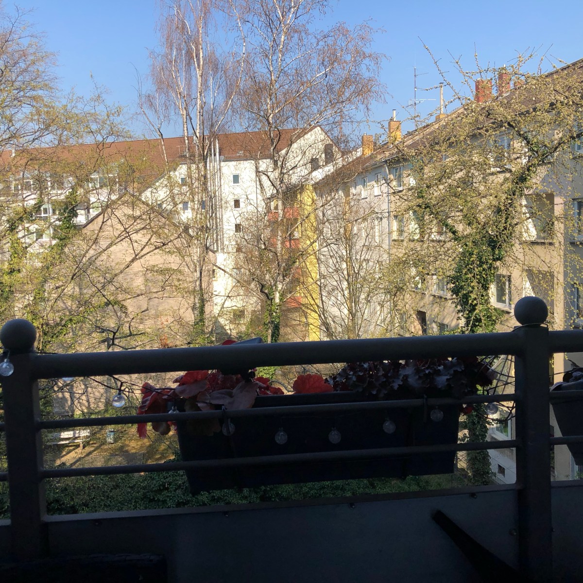 March 23, 2022 –&nbsp;Photoblog