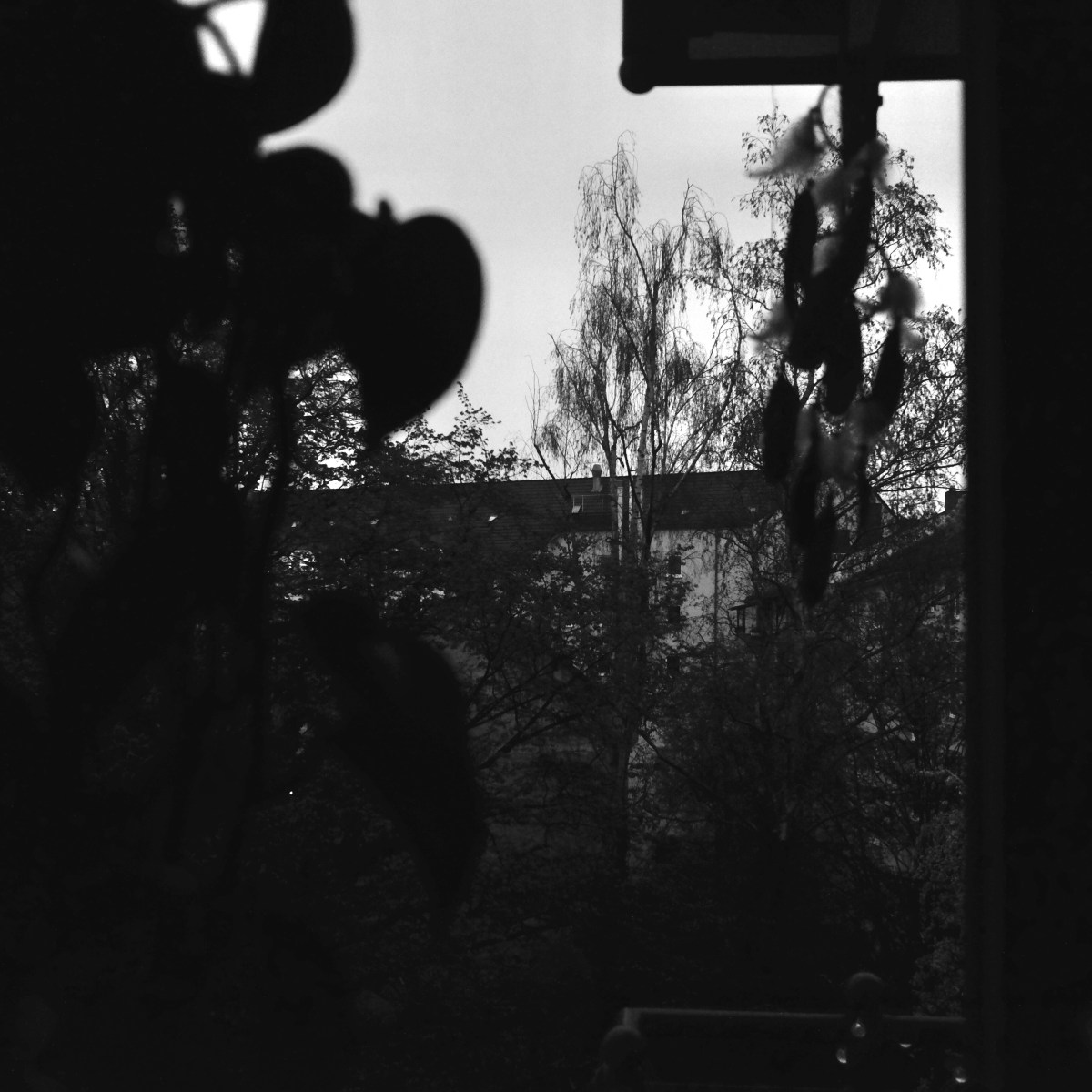 March 31, 2022 –&nbsp;Photoblog