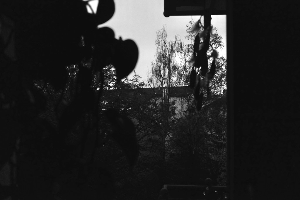 March 31, 2022 –&nbsp;Photoblog