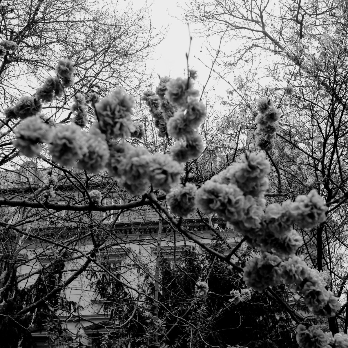 April 11, 2022 –&nbsp;Photoblog