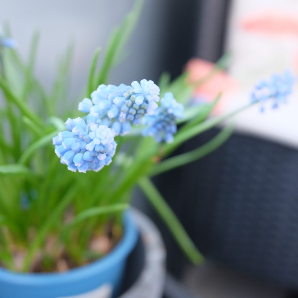 April 14, 2022 –&nbsp;Photoblog