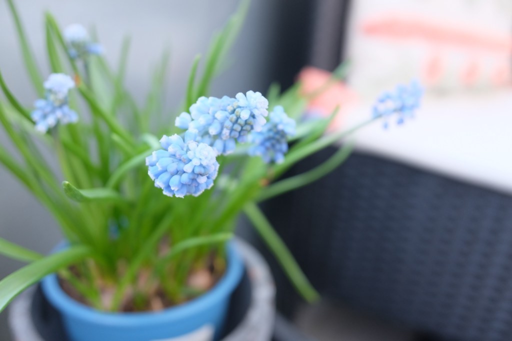 April 14, 2022 –&nbsp;Photoblog