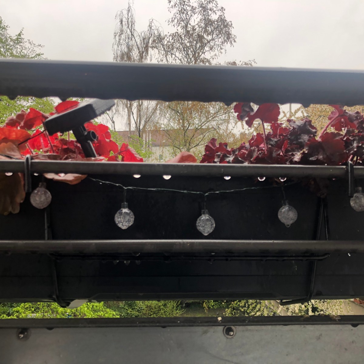 April 7, 2022 –&nbsp;Photoblog