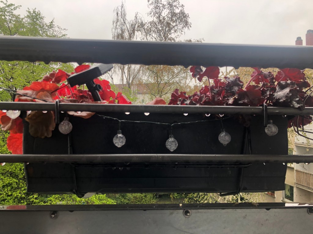 April 7, 2022 –&nbsp;Photoblog