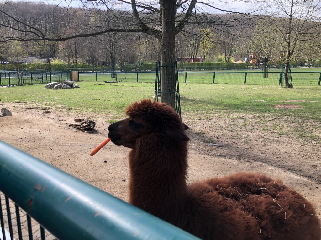 April 10, 2022 –&nbsp;Photoblog