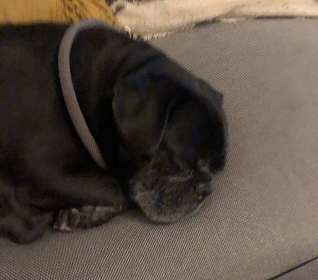 May 7, 2022 –&nbsp;Photoblog