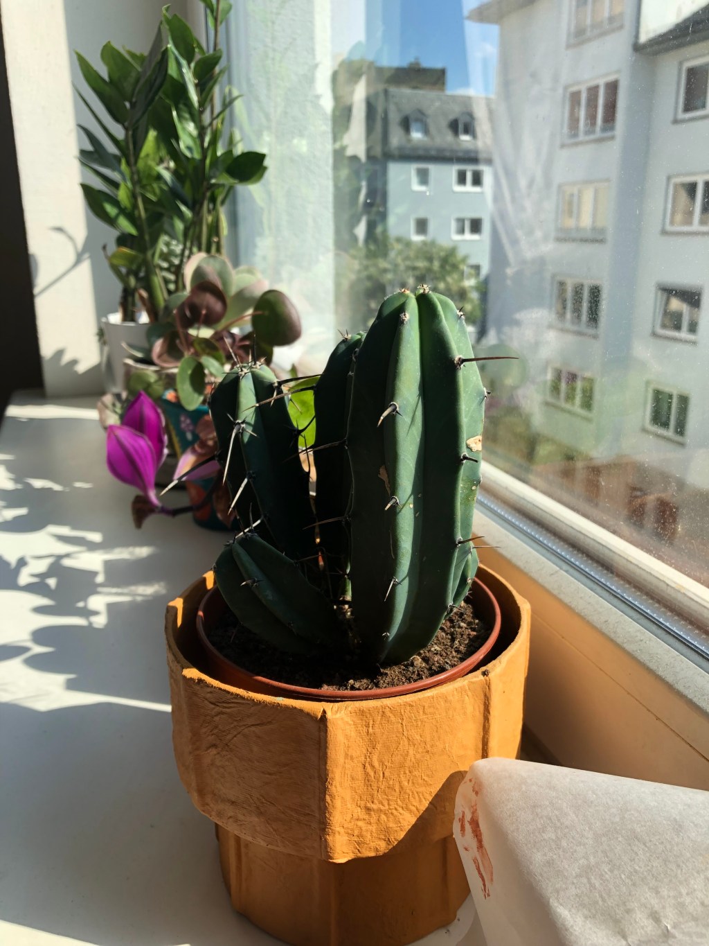 May 8, 2022 –&nbsp;Photoblog