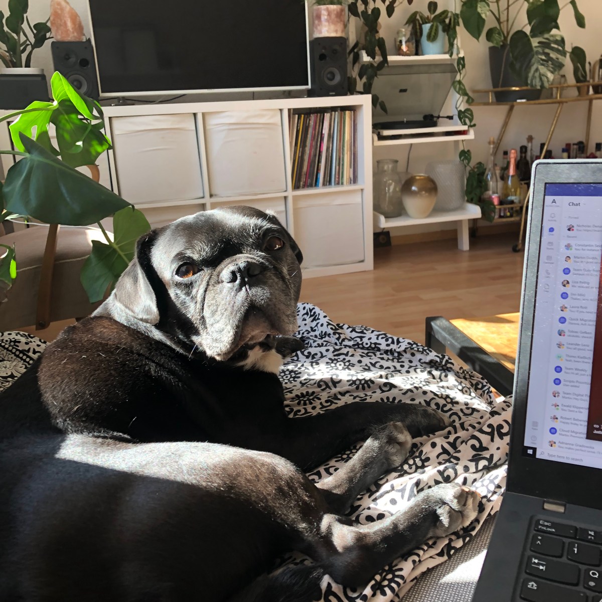 September 2 – September 21, 2022 –&nbsp;Photoblog