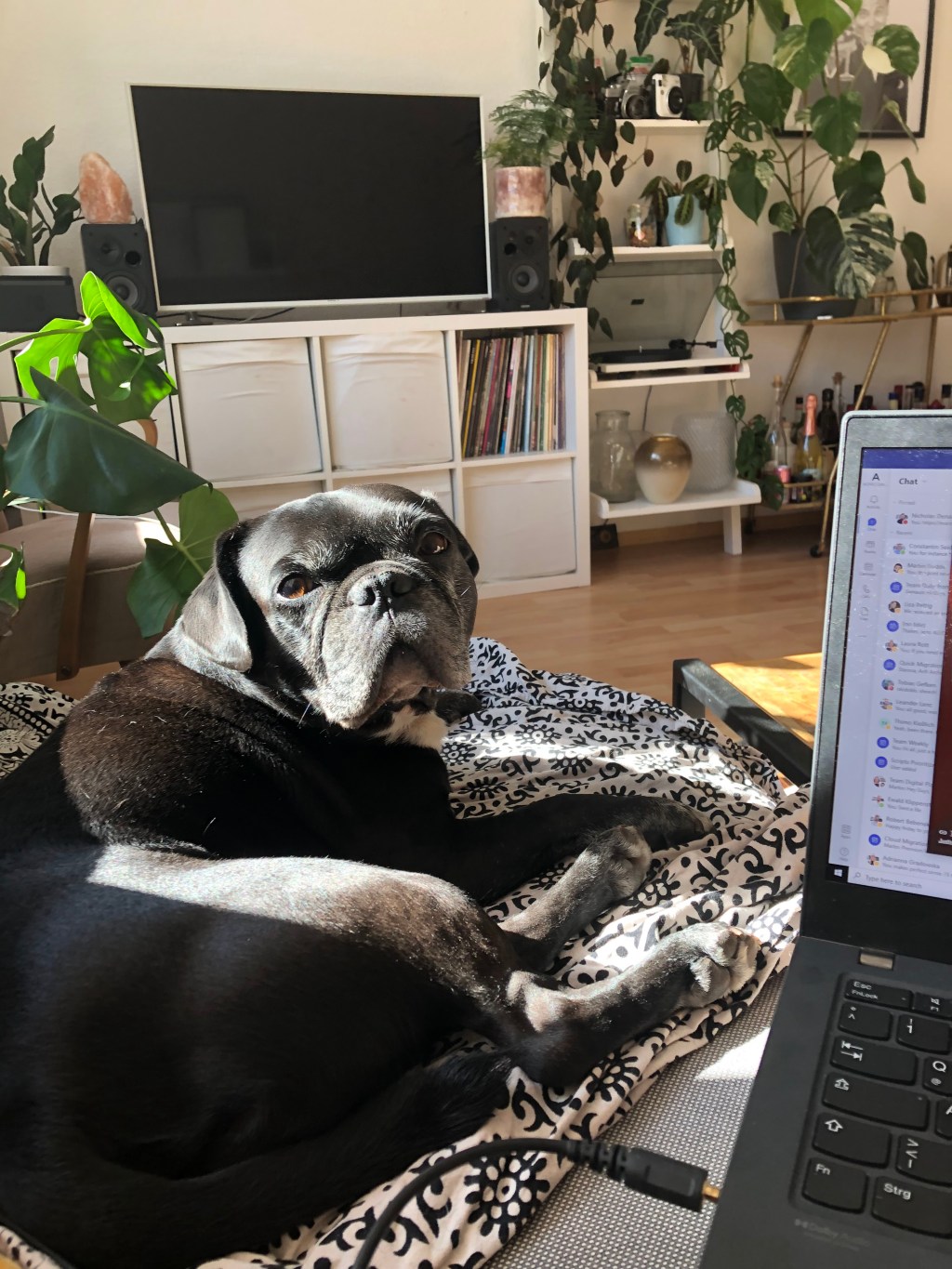 September 2 – September 21, 2022 –&nbsp;Photoblog