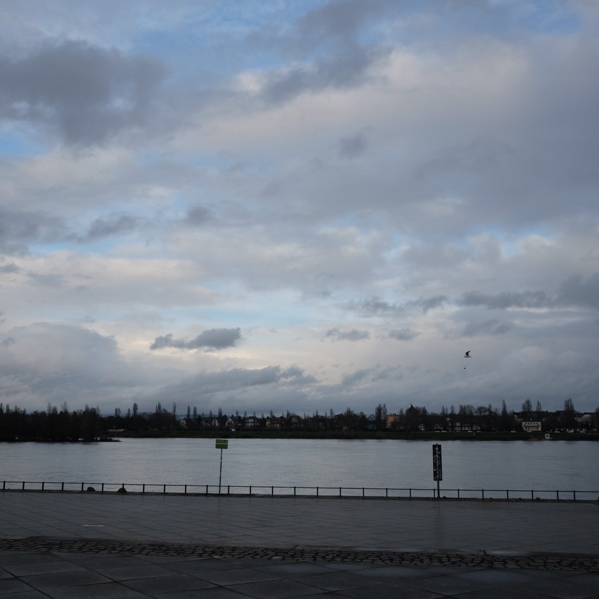 2022 End of Year Roundup –&nbsp;Photoblog